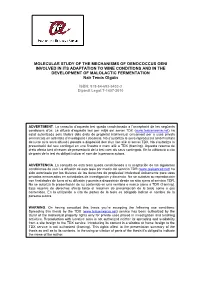 Molecular Study of the Mechanisms of Oenococcus