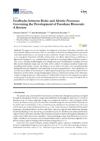 Feedbacks Between Biotic and Abiotic Processes Governing the Development of Foredune Blowouts: a Review