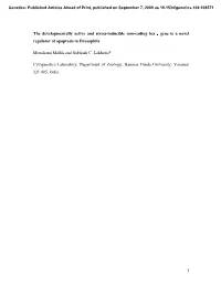 1 the Developmentally Active and Stress-Inducible Non-Coding Hsrω