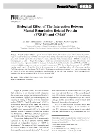 Biological Effect of the Interaction Between Mental Retardation Related Protein