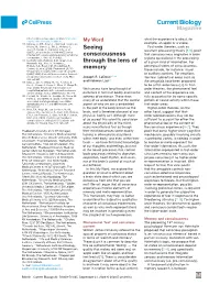 Seeing Consciousness Through the Lens of Memory