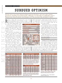 Subdued Optimism