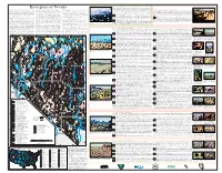 Ecoregions of Nevada Ecoregion 5 Is a Mountainous, Deeply Dissected, and Westerly Tilting Fault Block