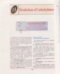 Metabolism of Carbolrydrates