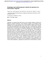 Virophages and Retrotransposons Colonize the Genomes of a Heterotrophic Flagellate