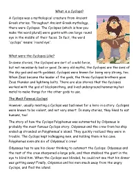 What Is a Cyclops?