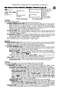 YEARLING, Consigned by the Castlebridge Consignment