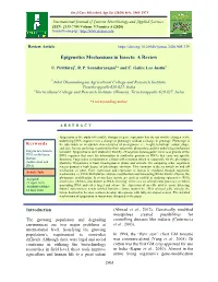 Epigenetics Mechanisms in Insects: a Review
