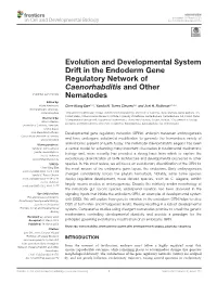 Evolution and Developmental System Drift in the Endoderm Gene