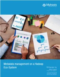 Metadata Management on a Hadoop Eco-System