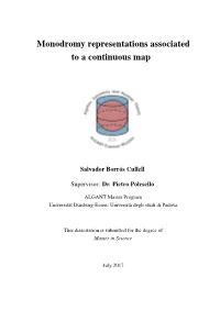 Monodromy Representations Associated to a Continuous Map