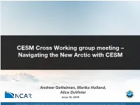 Navigating the New Arctic with CESM