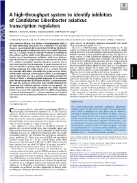 A High-Throughput System to Identify Inhibitors of Candidatus Liberibacter Asiaticus Transcription Regulators