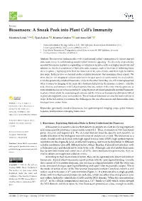 Biosensors: a Sneak Peek Into Plant Cell’S Immunity