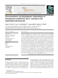 Characterisation and Phylogenetic Relationships of Anisogramma Virgultorum and A