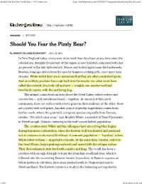 Should You Fear the Pizzly Bear? - Nytimes.Com