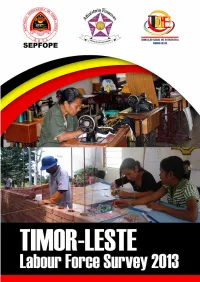 Timor-Leste Labour Force Survey 2013Pdf