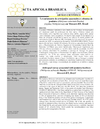 Acta Apicola Brasilica