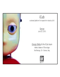 Genoa Giorgio Metta & the Icub Team