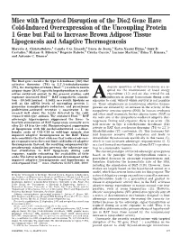 Mice with Targeted Disruption of the Dio2 Gene Have