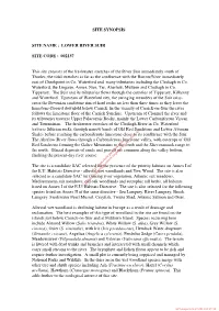 Site Synopsis