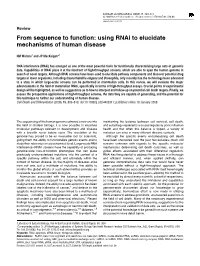 Using Rnai to Elucidate Mechanisms of Human Disease