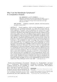 Why Fuse the Mandibular Symphysis? a Comparative Analysis