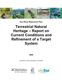 Report on Current Conditions and Refinement of a Target System