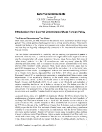 How External Determinants Shape Foreign Policy