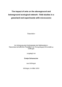 The Impact of Ants on the Aboveground and Belowground Ecological Network � Field Studies in a Grassland and Experiments with Microcosms
