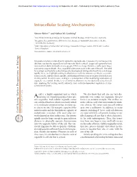 Intracellular Scaling Mechanisms