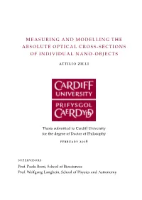 Measuring and Modelling the Absolute Optical Cross-Sections of Individual