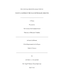 Multi-Scale Resource Selection Of