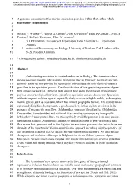 Downloaded the Assembled Genomes and Raw Sequencing Reads from Nine Toothed 403 Whales from the Superfamily Delphinoidea