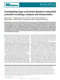Investigating Large-Scale Brain Dynamics Using Field Potential Recordings: Analysis and Interpretation