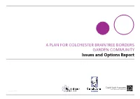 Issues and Options Report