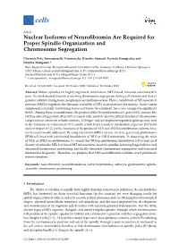 Nuclear Isoforms of Neurofibromin Are Required for Proper Spindle Organization and Chromosome Segregation