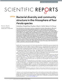 Bacterial Diversity and Community Structure in the Rhizosphere of Four Ferula Species
