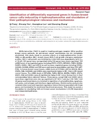 Identification of Differentially Expressed Genes in Human Breast