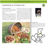 Marrone Di Combai Igp