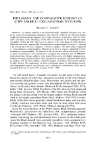 Phylogeny and Comparative Ecology of Stiff-Tailed Ducks (Anatidae: Oxyurini)