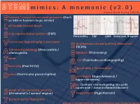 STEMI Mimics V2