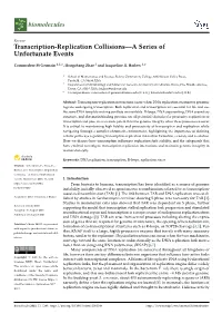 Transcription-Replication Collisions—A Series of Unfortunate Events