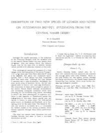 DESCRIPTION of TWO NEW SPECIES of LIZARDS and NOTES on FITZSIMONSIA Iabrtfipes (FITZSIMONS) from the CENTRAL NAME DESERT