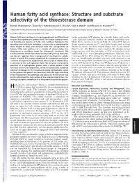 Human Fatty Acid Synthase: Structure and Substrate Selectivity of the Thioesterase Domain