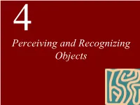 Lecture 4 Objects