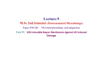 Lecture 9.Pdf