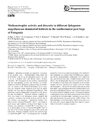 Methanotrophic Activity and Diversity in Different Sphagnum Magellanicum Dominated Habitats in the Southernmost Peat Bogs of Patagonia
