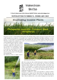 Newsletter No 31