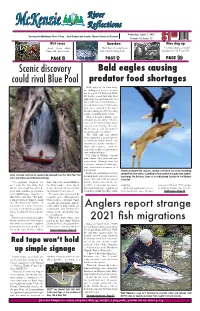 Scenic Discovery Could Rival Blue Pool Anglers Report Strange 2021